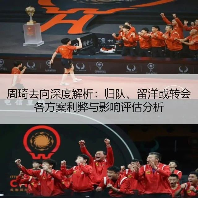 周琦去向深度解析:归队、留洋或转会各方案利弊与影响评估分析
